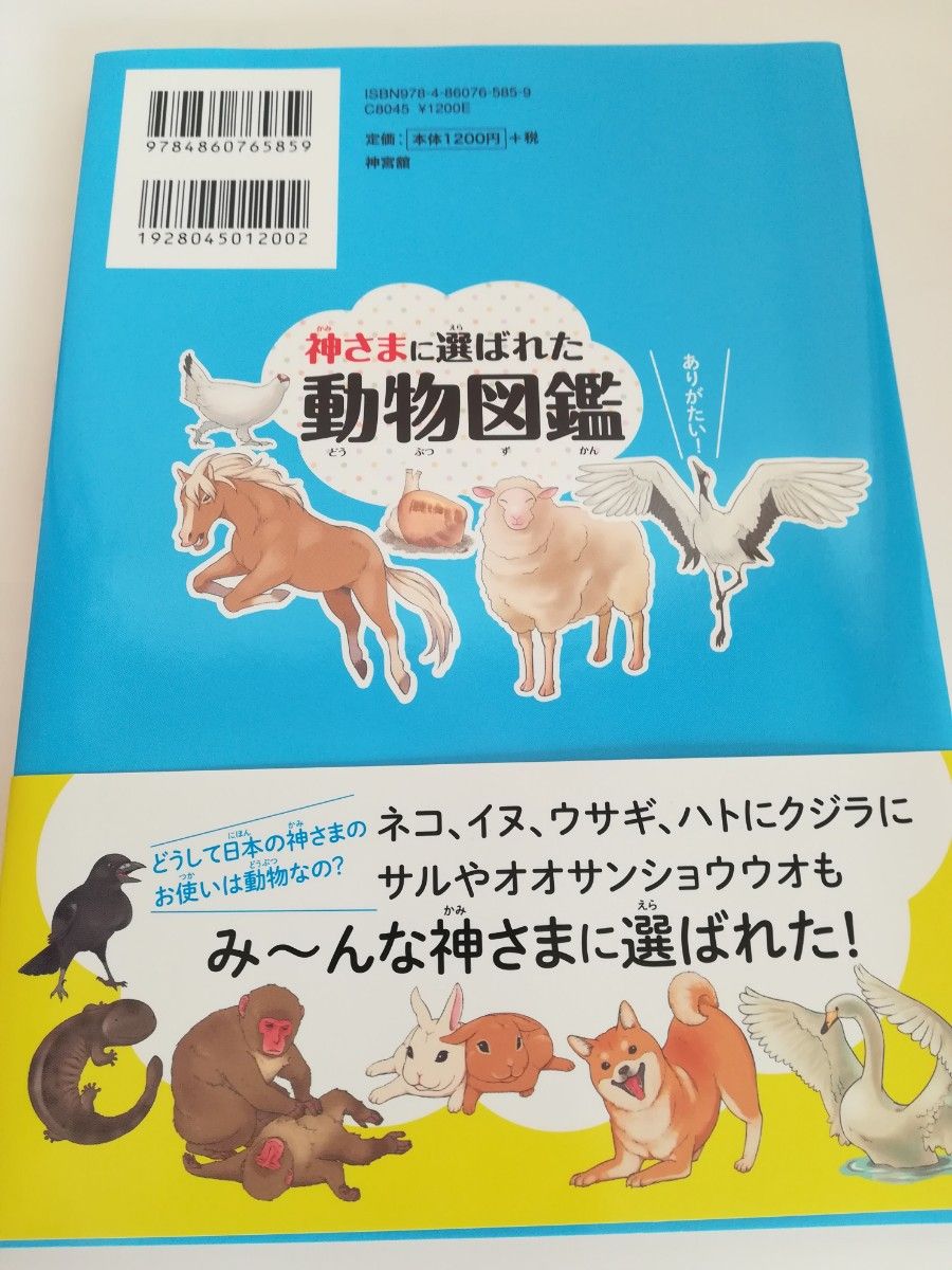 神さまに選ばれた動物図鑑