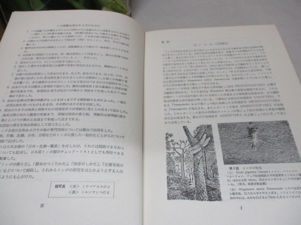 原色日本昆虫生態図鑑 2 トンボ編/石田昇三/保育社/昭和44年初版/生物学/昆虫学/系統/生態/形態/分布/イトトンボ/オニヤンマ/写真_画像4