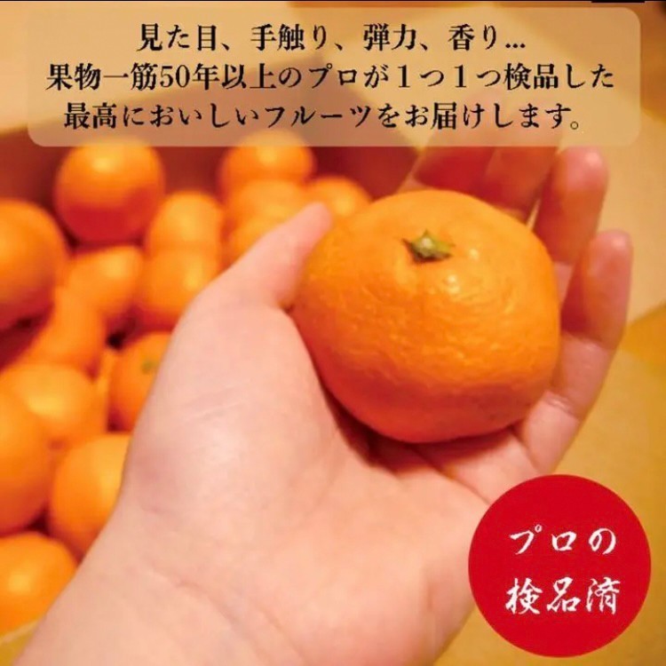 長﨑産伊木力みかん 小玉 10kg 約140〜160個入 果物 甘い ミカン 2s 〜3S訳ありではない　ご贈答　御歳暮　早生みかん　普通温州みかん　_画像3