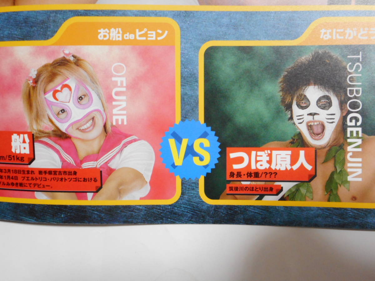 みちのくプロレス パンフレット 大量セット】2️⃣ bumisehat.org
