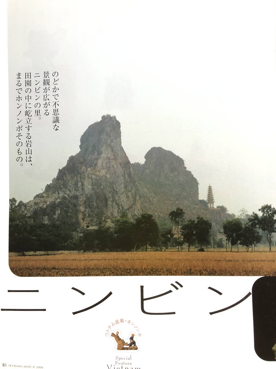 SKYWARDスカイワード3月号 JALグループ機内誌 2008年 平成20年 特集オーストラリア/ベトナム/東京 13歳冒険の大陸へ 2401-C34-01M_画像9