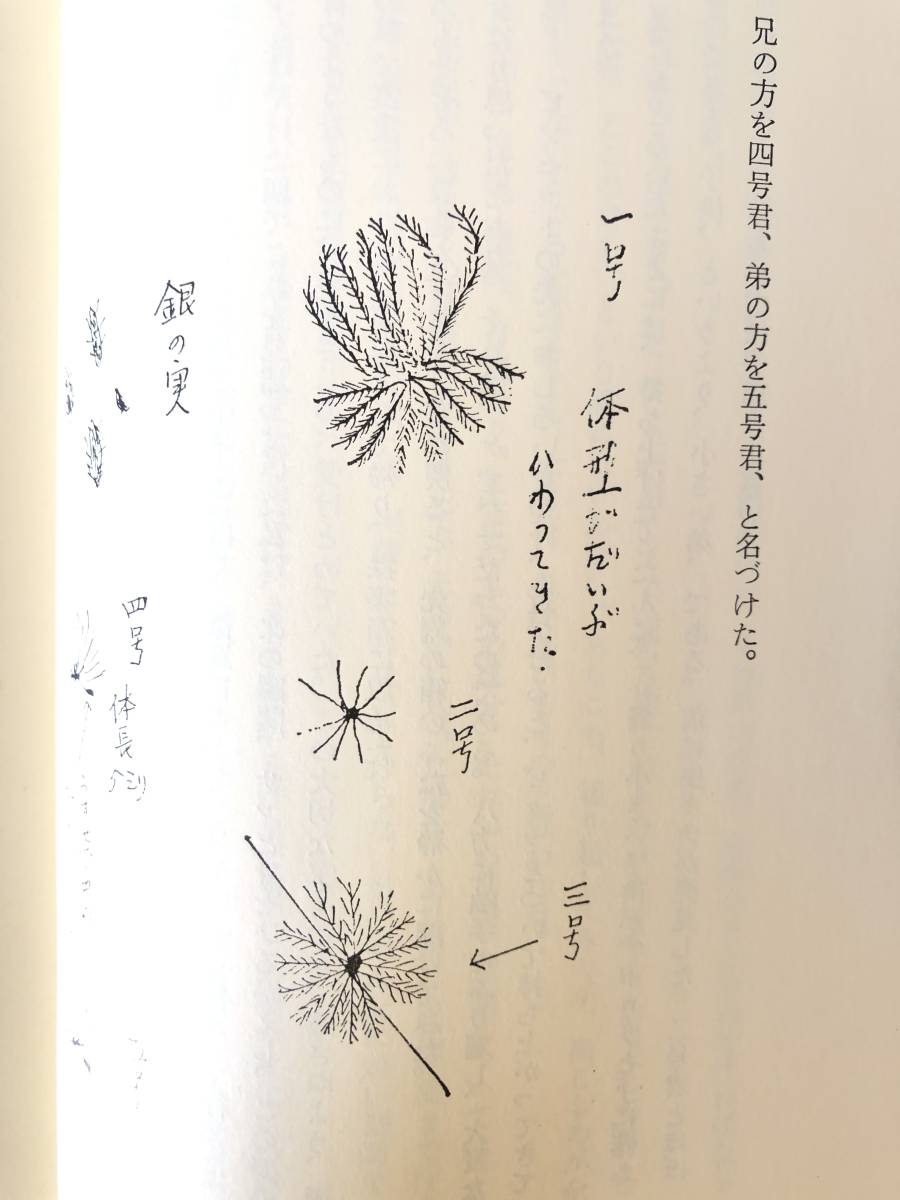 ケサラン パサラン日記 謎の生き物 西君枝著 草風社 1980年初版 ケサラン パサラン日記 謎の生き物 西君枝著 草風社 1980年初版