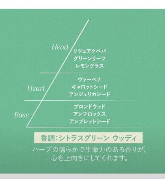 ロクシタン ※この冬限定の香り※新発売※　グリーンヴァーベナ　オードトワレ 100ml