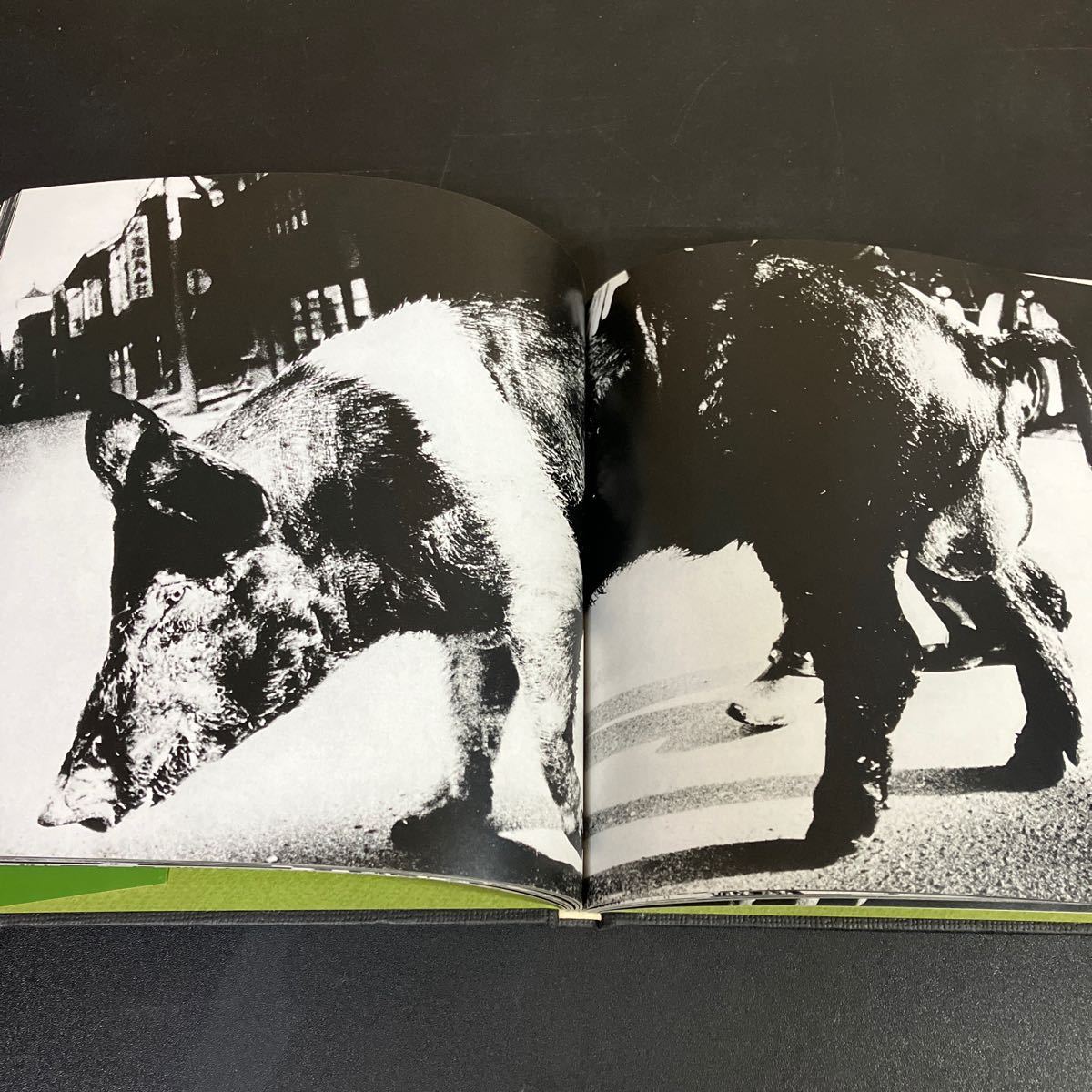 24-1-10「 続にっぽん劇場 写真帖 」森山大道 1978年 ソノラマ 24-1-10「 続にっぽん劇場 写真帖 」森山大道 1978年 ソノラマ