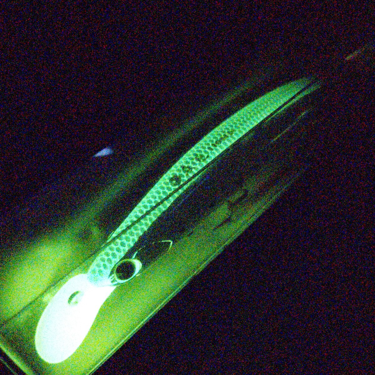 【限定】魚道110MD グローイワシ 夜光 ima サーフヒラメ アイマ glow _画像4