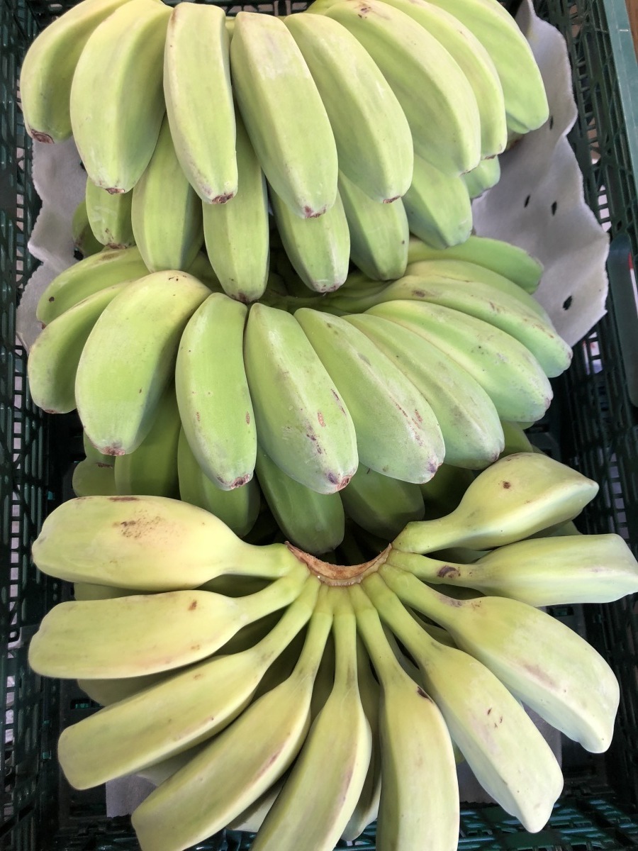 サババナナ SABA BANANA 1kg フィリピン産 調理用バナナ 料理用バナナ 野菜バナナの画像4