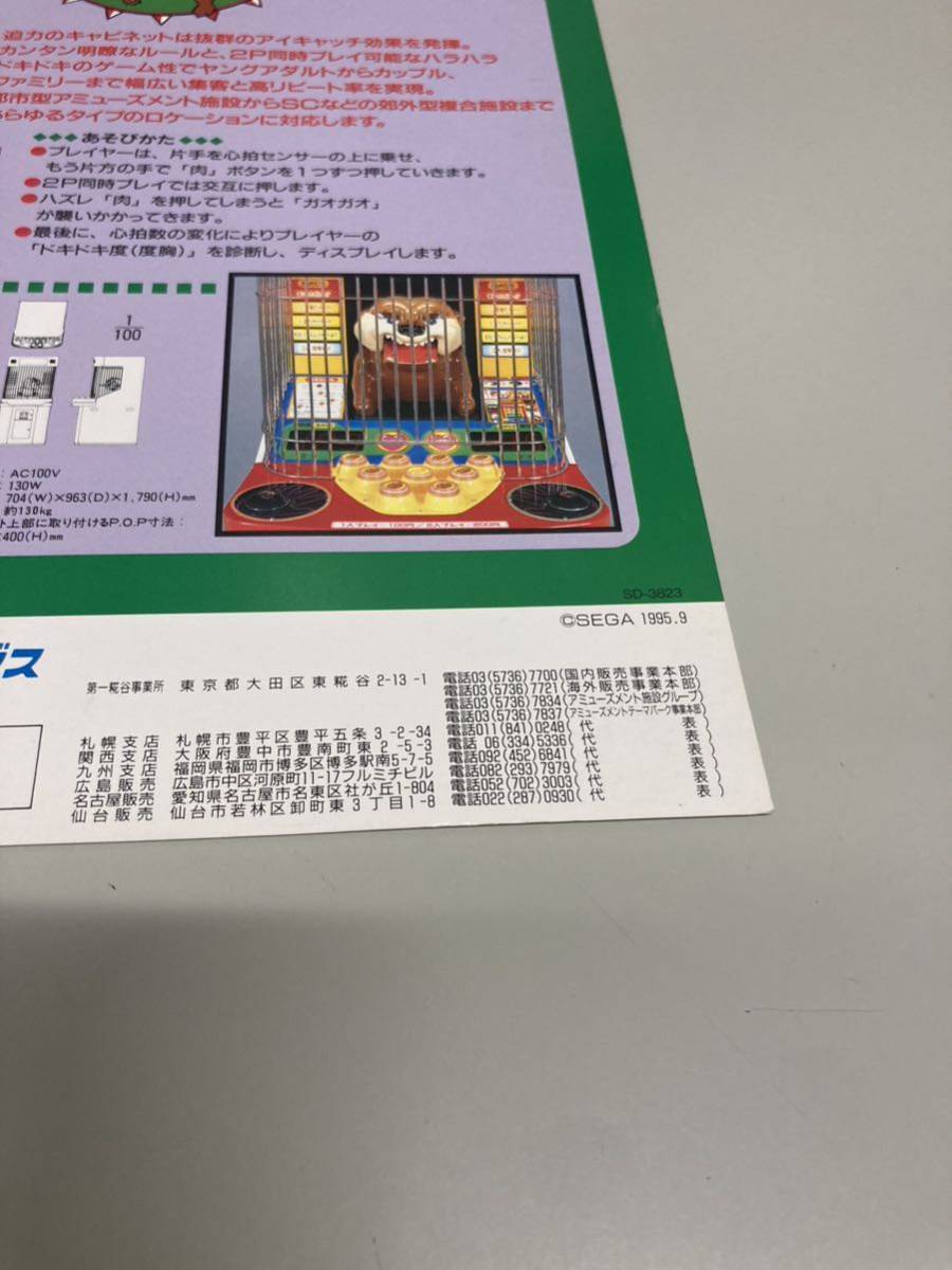 チラシ 未発売 クイズおまえにPiponチョ データイースト チラシ 未発売 クイズおまえにPiponチョ データイースト