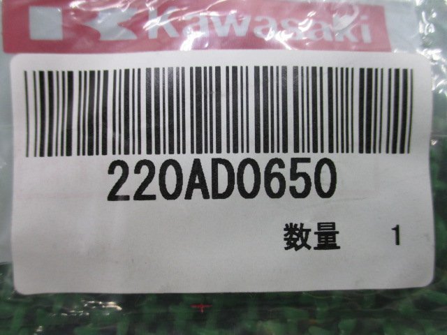 KSR110 クランクケースボルト 220AD0650 在庫有 即納 カワサキ 純正 新品 バイク 部品 6X50ネジ 車検 Genuine_220AD0650