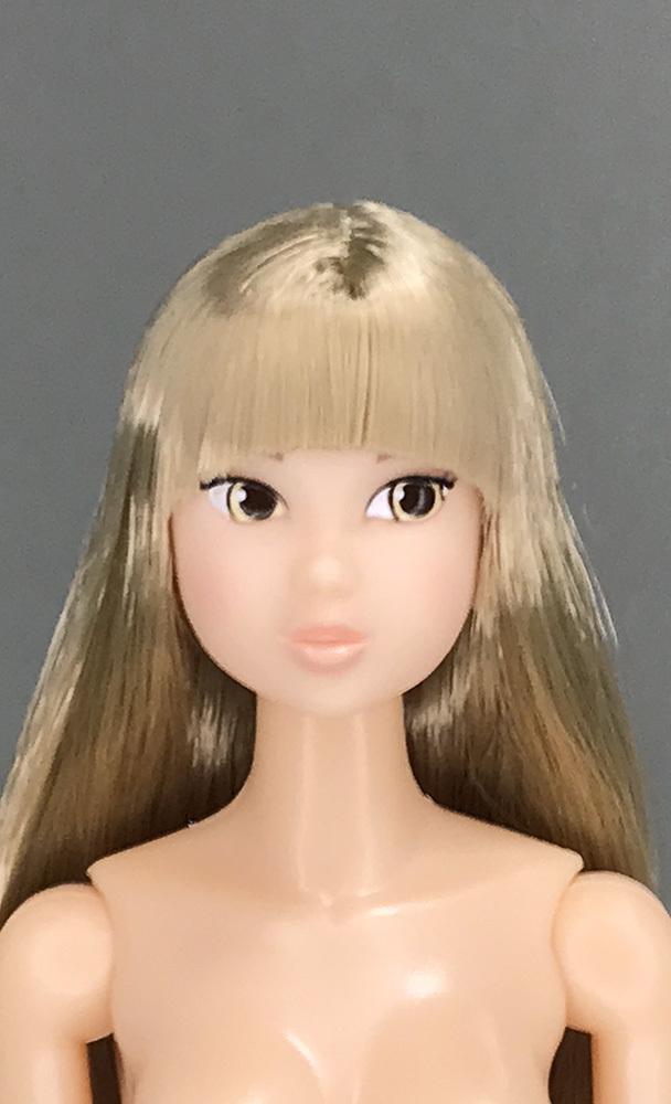 大人気 DOLL momoko モモコドールCCS-momoko Lion Cowardly 08SS Today's momoko