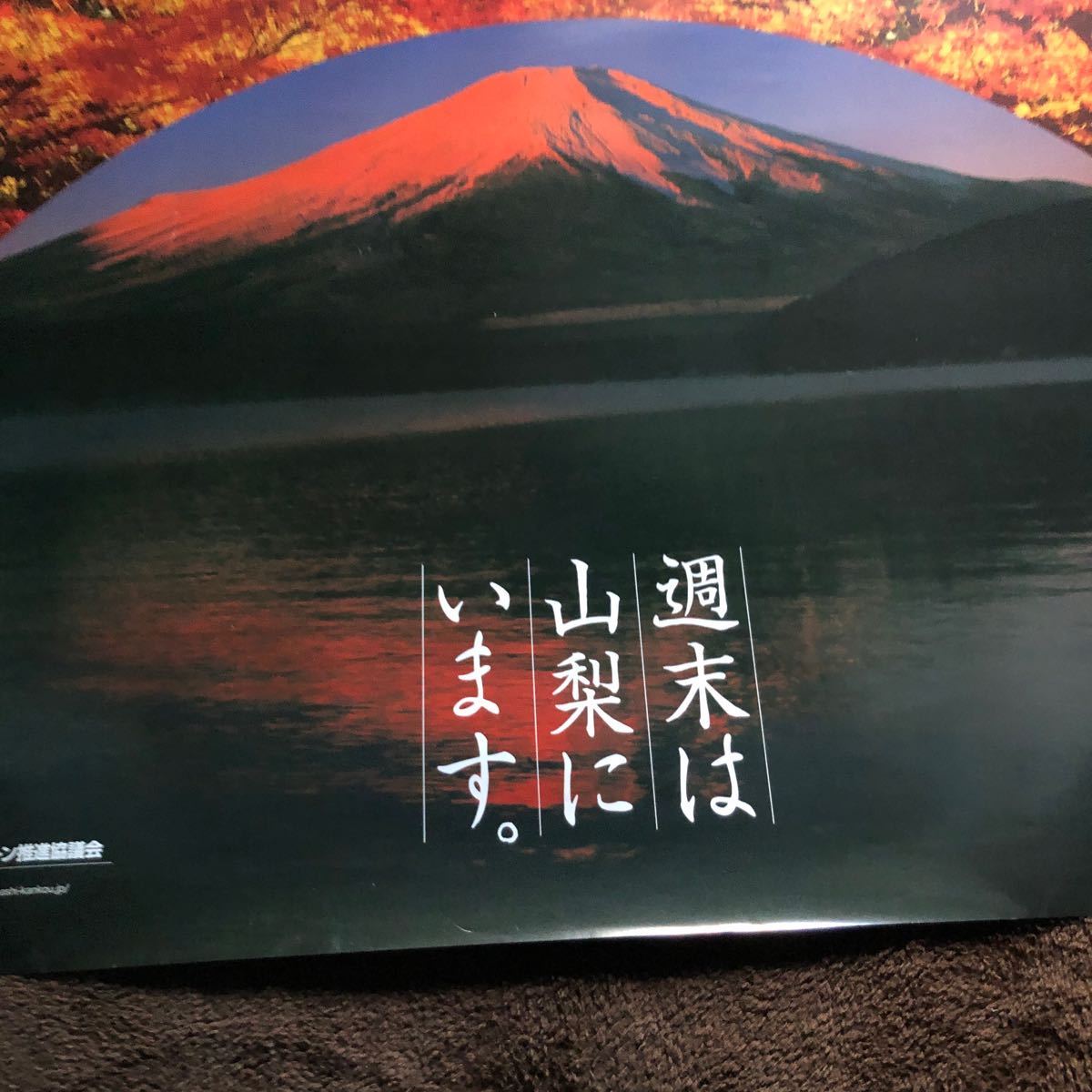 観光大型ポスター／山梨キャンペーン◯週末は山梨にいます。朝焼け富士・山中湖◯JR関係_画像8