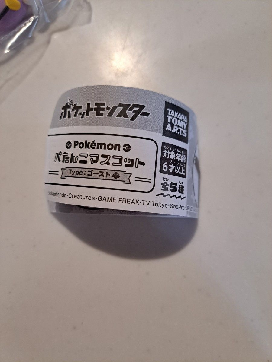 ポケットモンスター　ぺたんこマスコット