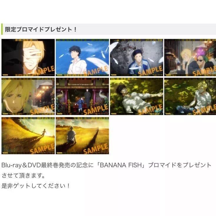 BANANA FISH ノイタミナ 限定ブロマイド 全10種 バナナフィッシュ_画像1