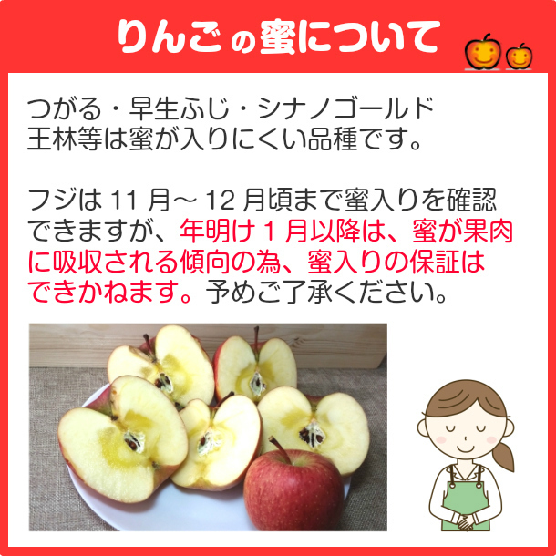 サンふじ りんご 蜜入りも 訳あり リンゴ 林檎 10kg 青森産 葉とらず ふじ フジ 富士 冨士 送料無料_画像7