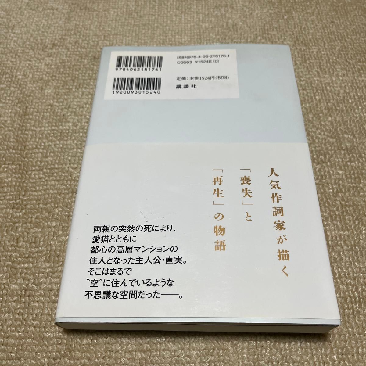 空に住む 小竹正人／著