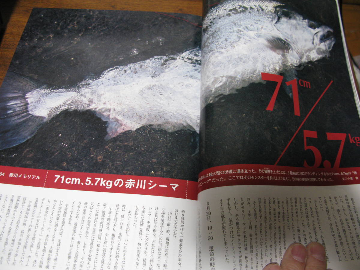 ギジ―　Gijie　№ 74　　特集：解禁から「××××」を釣る_画像4