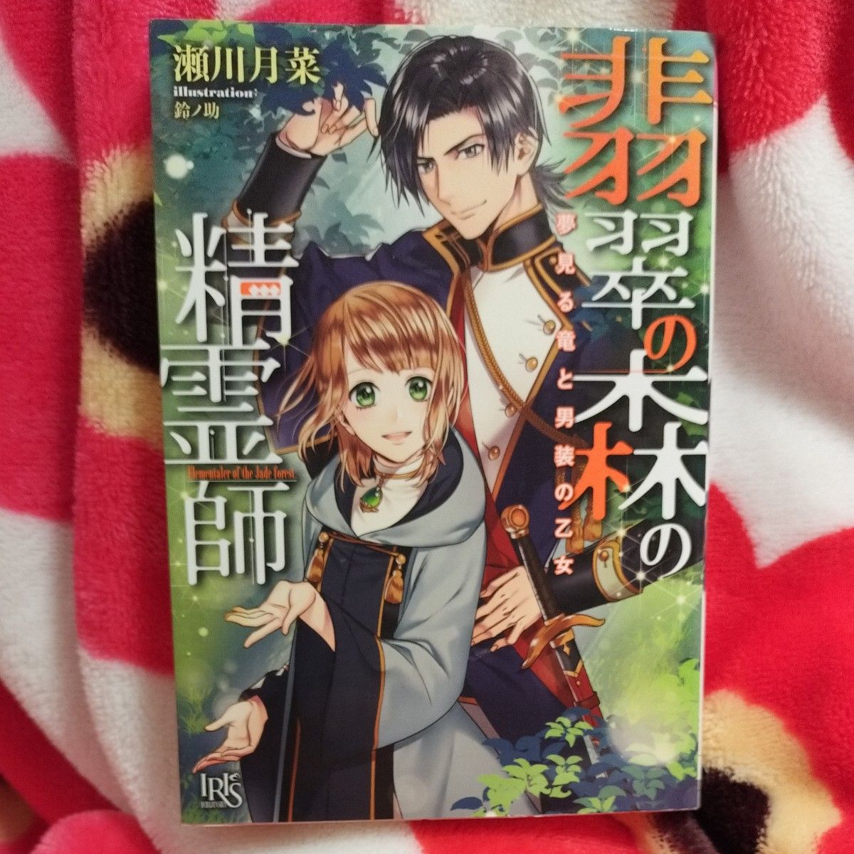 22 翡翠の森の精霊師　夢見る竜と男装の乙女 （一迅社文庫アイリス　せ－０３－０２） 瀬川月菜／著