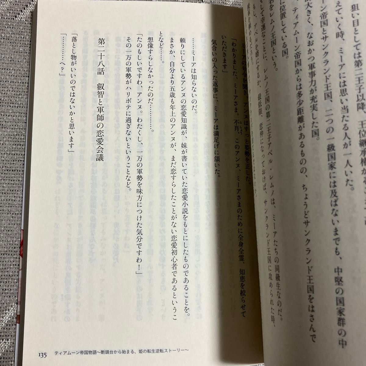 ティアムーン帝国物語　断頭台から始まる、姫の転生逆転ストーリー 餅月望／著