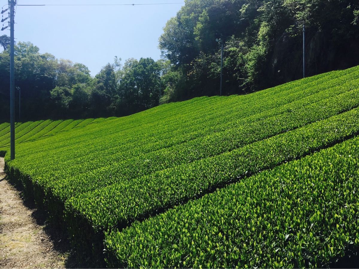 奈良県産　大和茶　茶葉　玄米茶 ほうじ茶 中尾農園