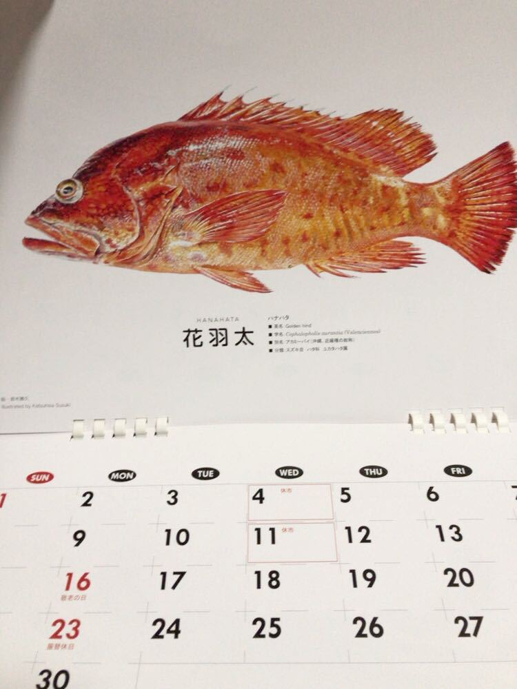 まぐろ　かに　たら　など　魚　カレンダー　絵手紙　絵　絵画　見本　釣り　佐川地域毎料金or郵便要事前連絡_画像4