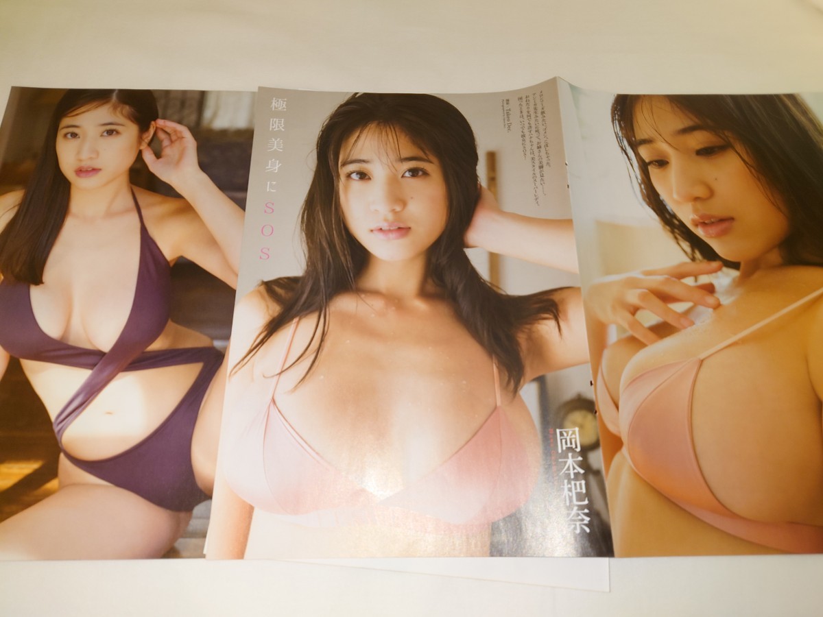 雑誌の切り抜き　岡本杷奈　極限美身にSOS 8P_画像1