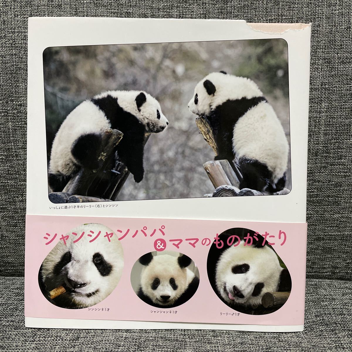 新版 リーリーとシンシン ２頭を育てた中国飼育研究員の手記 上野動物園 パンダ リーリー シンシン_画像2