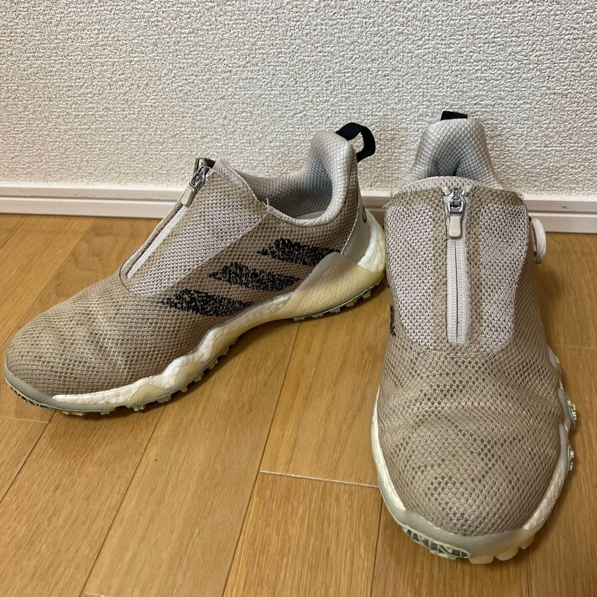 限定品25 5㎝【adidas コードカオス22 ボア】ゴルフシューズ