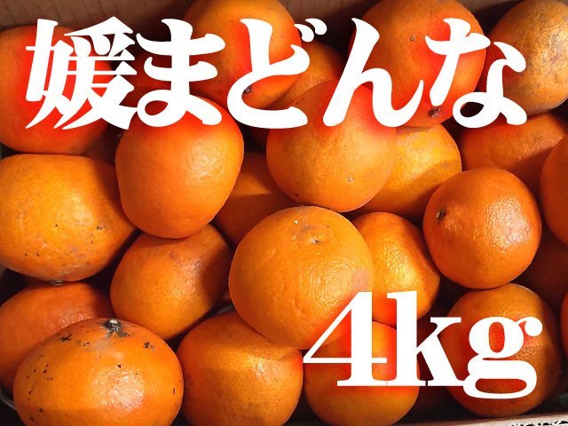 【ご家庭用】愛媛のブランド柑橘　媛まどんな　B（愛果28号）4ｋｇ2L～Mサイズ③_画像1