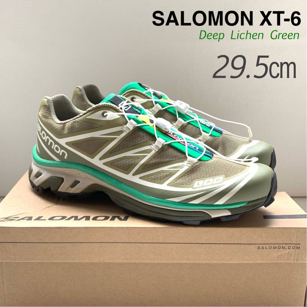  новый товар редкость SALOMON Salomon XT-6 обувь зеленый 29.5. мужской спортивные туфли XT6 трейлраннинг Япония не поступление редкий размер бесплатная доставка 