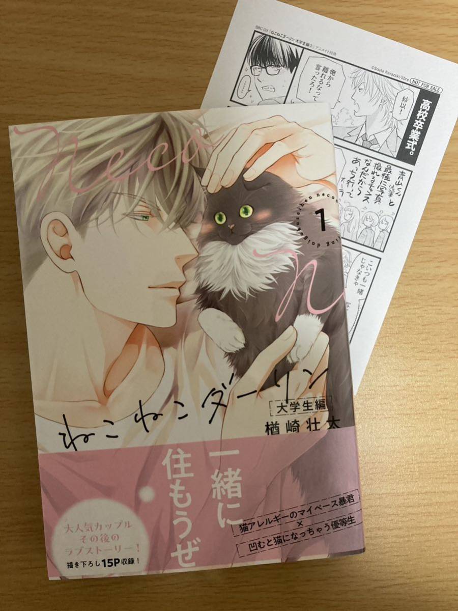 BL 1月新刊「ねこねこダーリン 大学生編 1 」楢崎壮太 アニメイト特典ペーパ-付き 初版 1.4cm_画像1