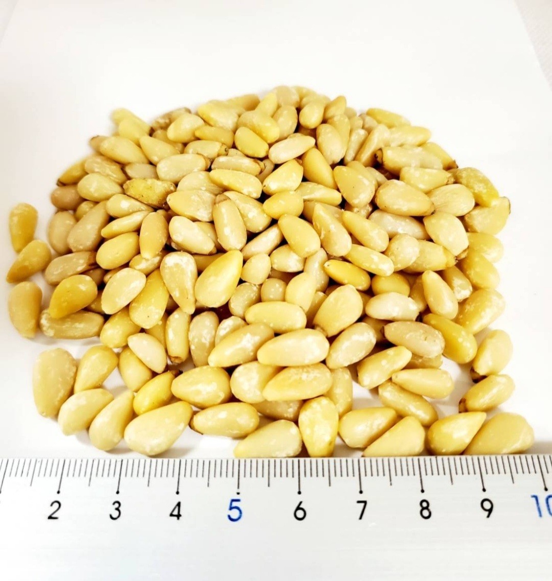 シベリア産　松の実　まつのみ　たっぷり　３００ｇx２パック　オーガニック　業務用　PINE NUT_画像5