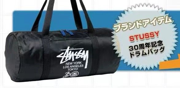 STUSSY ステューシー ミニボストンバッグ キャンプ アウトドア STUSSY ステューシー ミニボストンバッグ キャンプ アウトドア