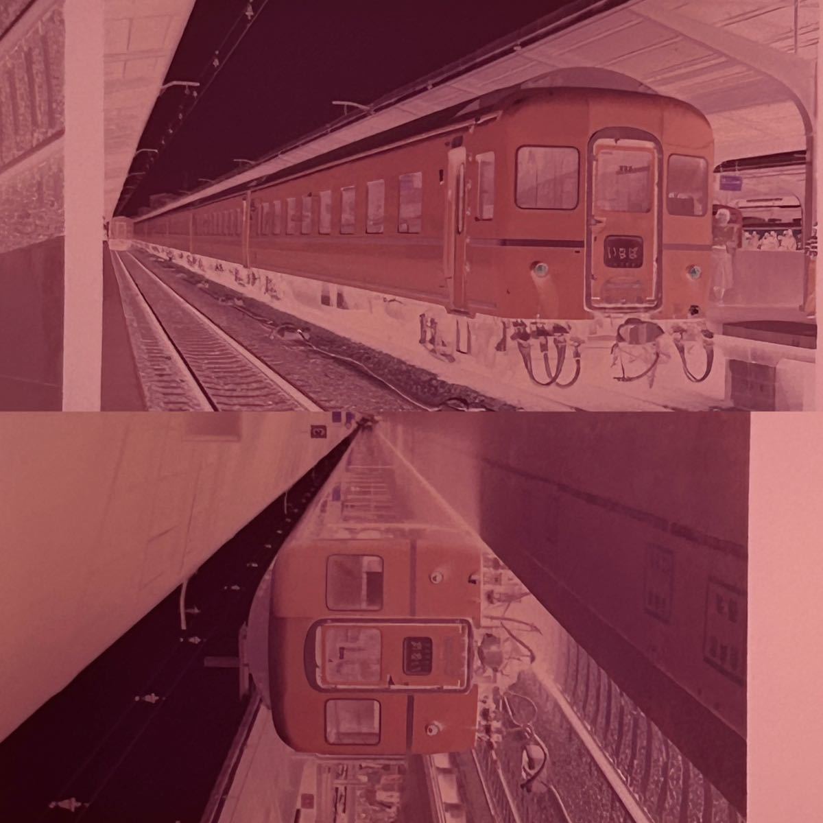 古い鉄道写真 ネガフィルム 『54年 新大阪駅 大阪駅など』オハネ 彗星 明星 EF58 いなば あかつき なは 日本海 雷鳥 白鳥 まつかぜ 010702 _画像5