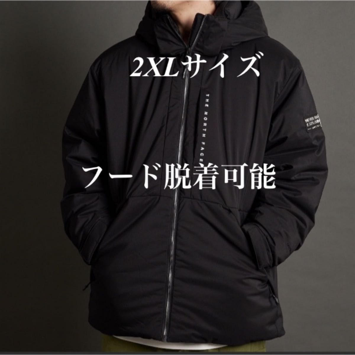 新品未使用 韓国正規品 ノースフェイス アクションテック ダウン 新品未使用 韓国正規品 ノースフェイス アクションテック ダウン