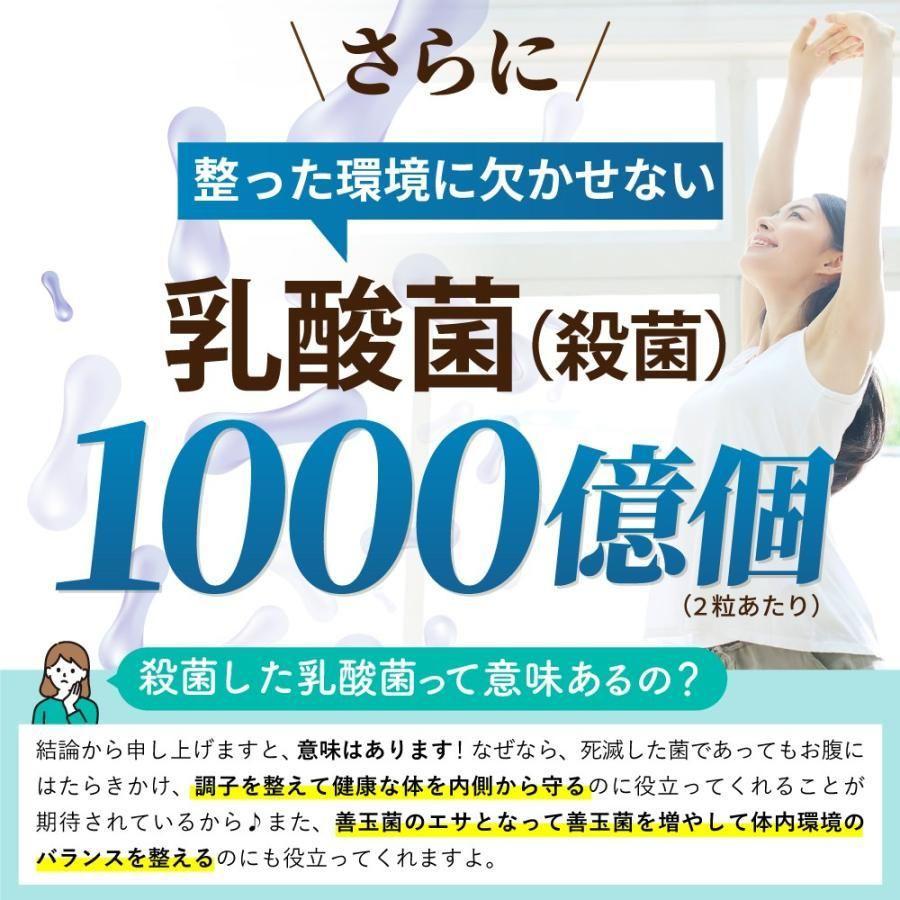 国内製造 茸と酵母のサプリメント 自然由来 ビタミンD 乳酸菌 グルタミン酸_画像8