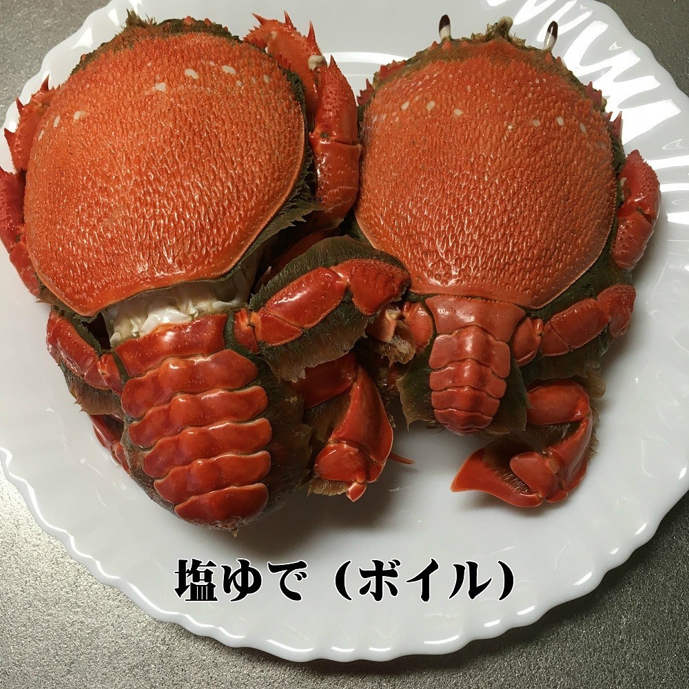 アサヒガニ 旭蟹 350～360ｇ 高知産 天然 プロトン冷凍便 送料無料 塩ゆで 焼く 鍋 汁 雑炊 etc 宇和海の幸問屋_画像3