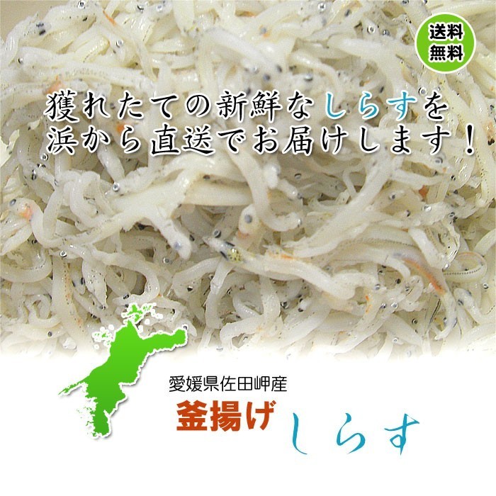 釜揚げしらす 6kg (250g×24p） 冷蔵便 愛媛 佐田岬産 浜から直送 無添加/無着色 送料込み 北海道/沖縄/東北は別途送料 宇和海の幸問屋_画像2