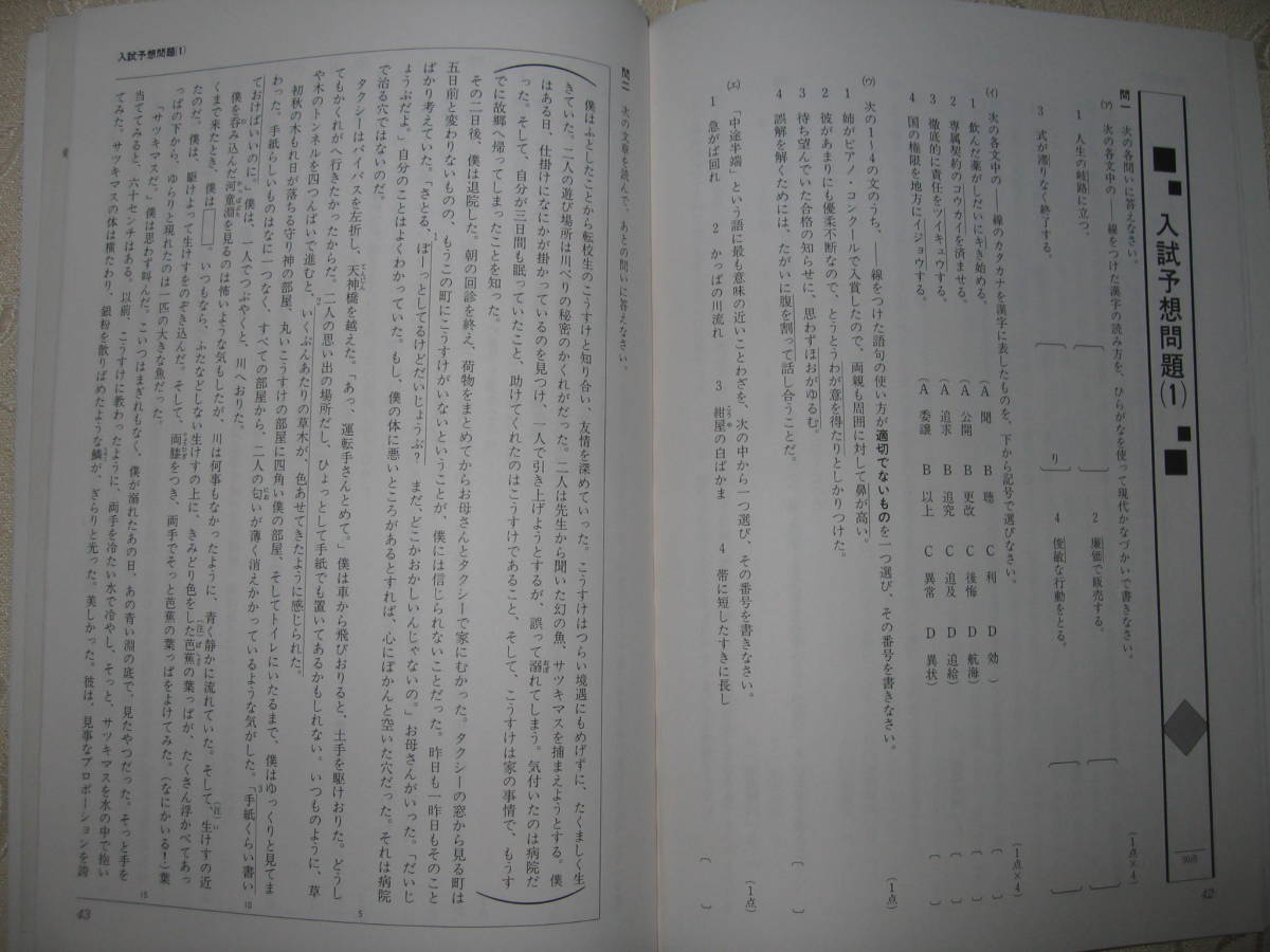 ●県入試トレーニイング　国語　神奈川県学力検査対策教材 ●国語合格総仕上げ 教材 定価： ー _画像6