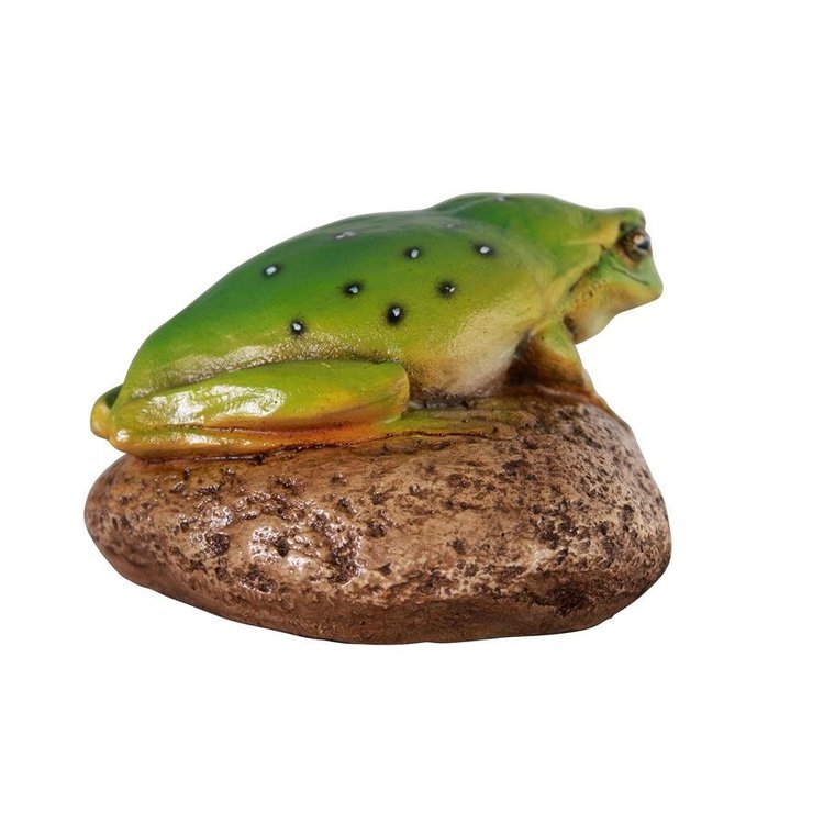 蛙のフィニアス 庭の岩の上に座るヒキガエルの彫像 ガーデンオブジェ 両生類蛙フィギュア庭園 贈り物輸入品_画像4