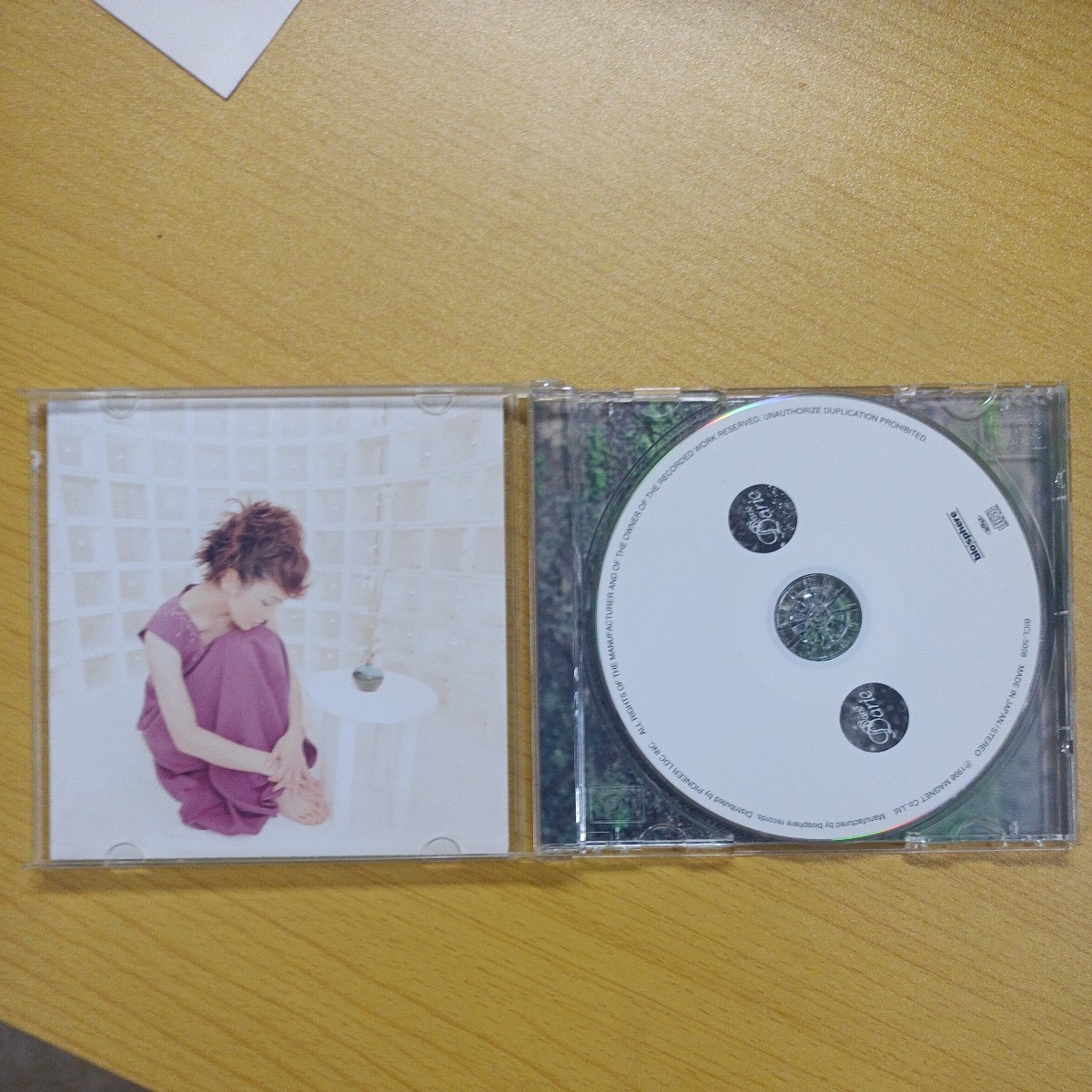 CD 濱田理恵 Darieの画像2