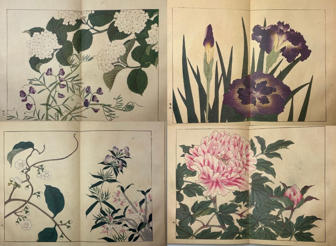 四季の花 全十巻揃 復刻版 酒井抱一 鈴木其一 中野其明 1980年 大日本絵画 定価20万5千円 画集 江戸絵画 和本 植物画 ボタニカルアートの画像2