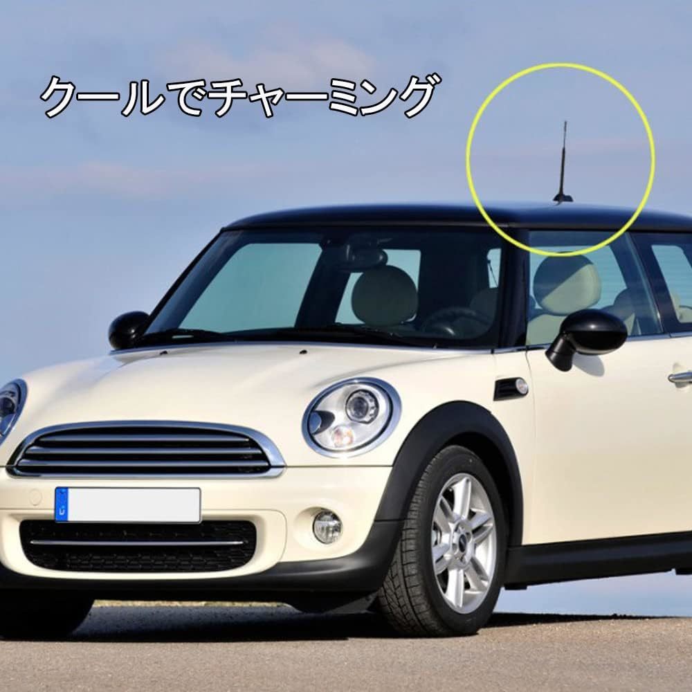 6.5cm LIKENNY ショートアンテナ 車アンテナ ラジオアンテナ カーボンアンテナ 車用 AM/FM アンテナ（ブラック/_画像5