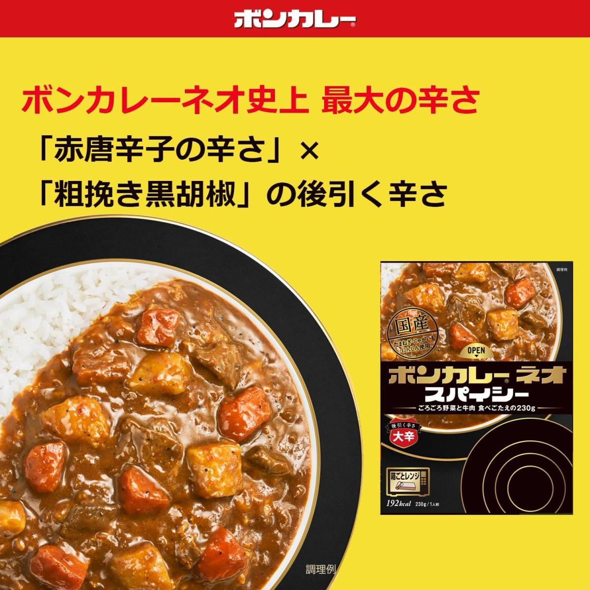  large .230g ×5 piece large . food bon curry Neo Spy si- after .... large .230g ×5 piece 