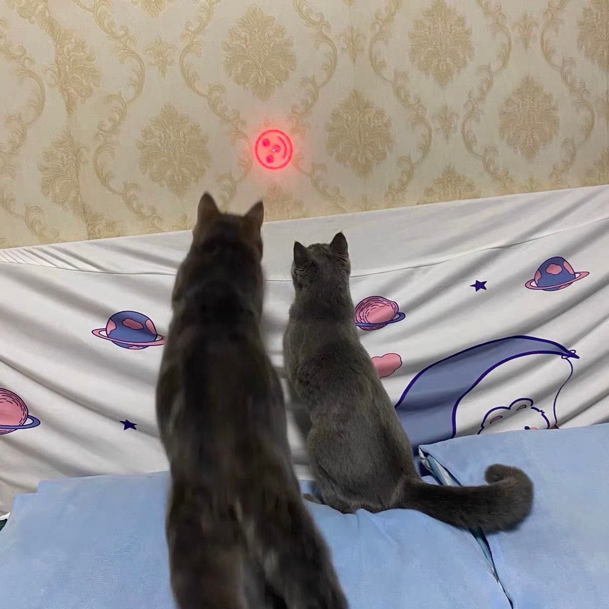 猫　充電式　じゃらし おもちゃ　ペット　LED ライト　レーザー ポインター　黄 最新版c