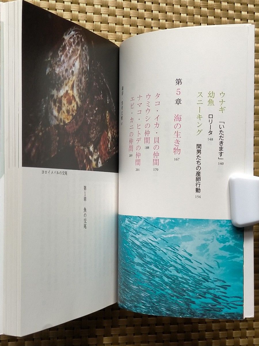 魚はエロい　オールカラー版 （光文社新書　８３５） 瓜生知史／著