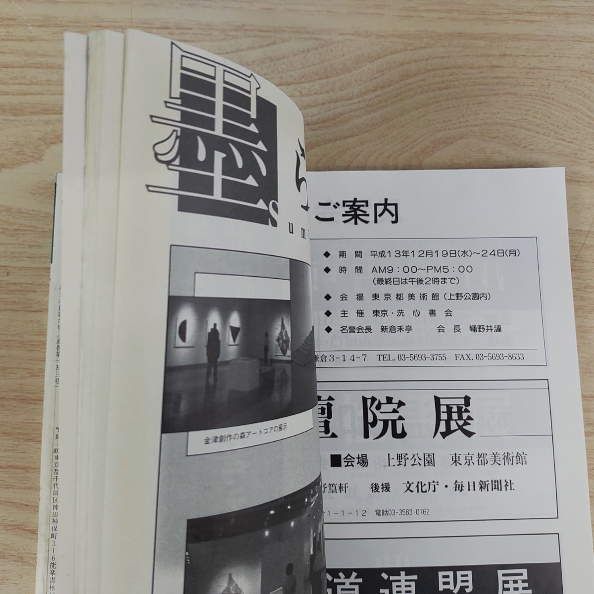 B2401004 墨すみ 153号 2001年11,12月号 かなで書く日本の四季　平櫛田中 平成13年12月1日発行(隔月1回) 芸術新聞社 古本_画像7