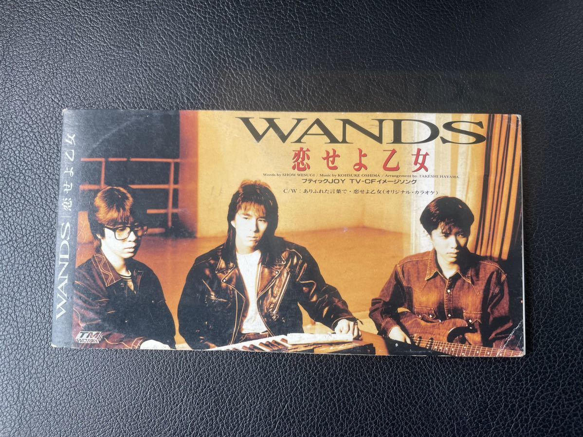 WANDS 恋せよ乙女　CD ワンズ　90s_画像1