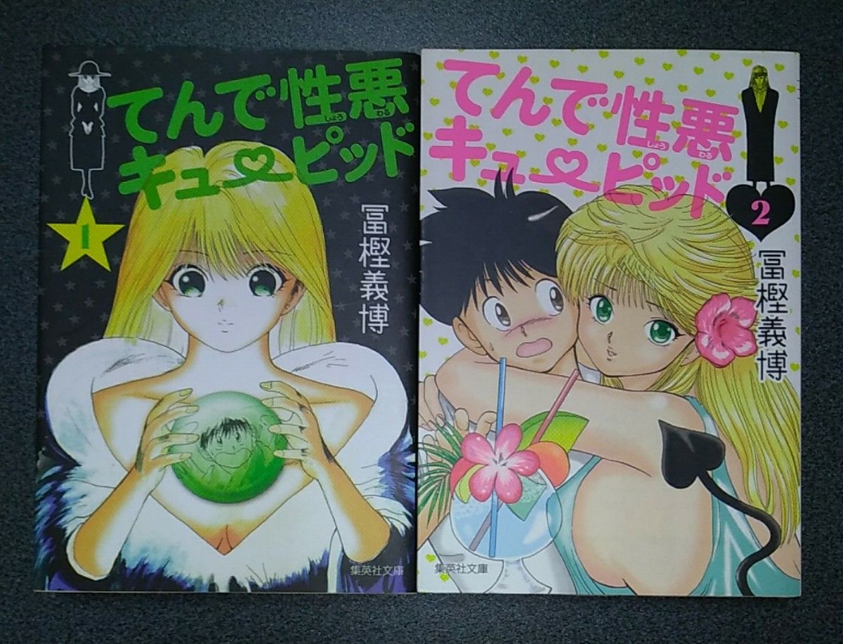 レベルE てんで性悪キューピッド 文庫版 全巻セット 冨樫義博 レベルE てんで性悪キューピッド 文庫版 全巻セット 冨樫義博