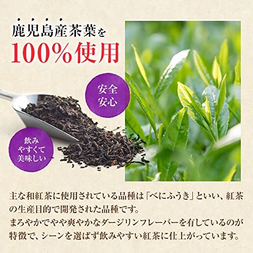 八重撫子 こだわり国産紅茶 220g (2.2g×100包) 紅茶 無添加 鹿児島県産 健康 サポート_画像4