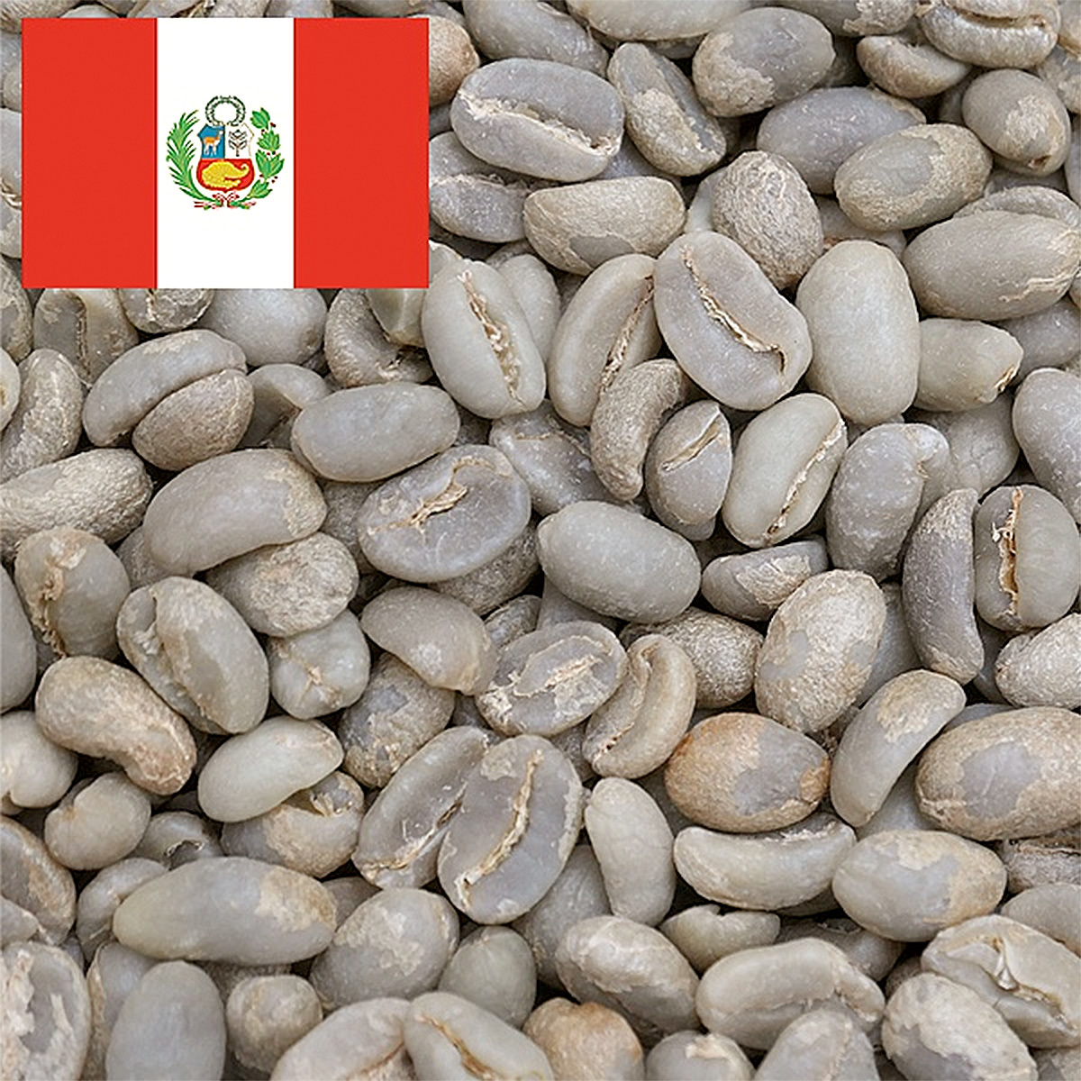 珈琲生豆 スペシャルティコーヒー ペルー サンチュアリオ 有機JAS認証 Qグレード 83.25点 コーヒー生豆 1kg 2023年 カレントクロップ_画像1