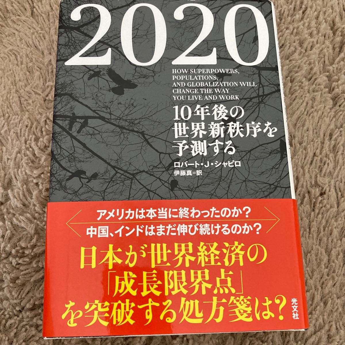 ２０２０　１０年後の世界新秩序を予測する ロバート・Ｊ．シャピロ／著　伊藤真／訳